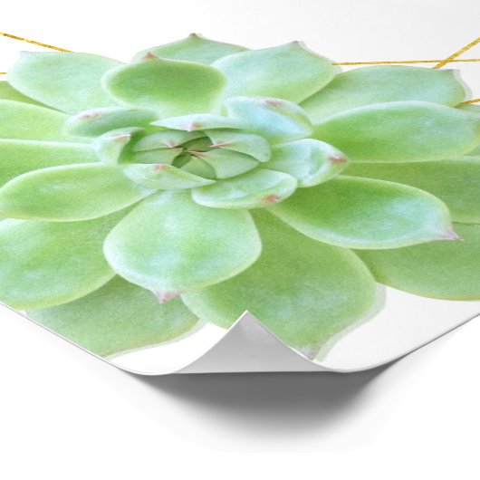 Gouden Terrarium Succulente Trouw Welkom Bord Poster (Hoek)