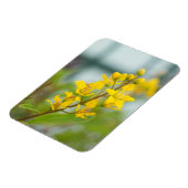 Gouden Thryallis Magneet (Linkerzijde)