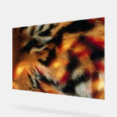 Gouden Tijgeroog Close-Up Wildlife Poster (Hoek)
