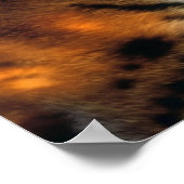 Gouden Tijgeroog Close-Up Wildlife Poster (Hoek)