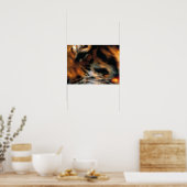 Gouden Tijgeroog Close-Up Wildlife Poster (Keuken)