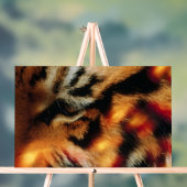Gouden Tijgeroog Close-Up Wildlife Poster (Neutraal)