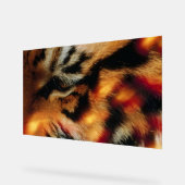 Gouden Tijgeroog Close-Up Wildlife Poster (Hoek)