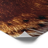 Gouden Tijgeroog Close-Up Wildlife Poster (Hoek)