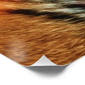 Gouden Tijgeroog Close-Up Wildlife Poster (Hoek)