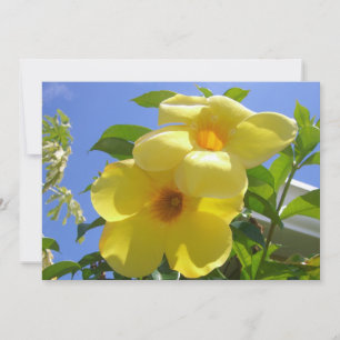 Gouden Trompet Bloemen I Kaart