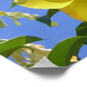 Gouden Trompet Bloemen I Poster (Hoek)