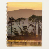 Gouden Uur Bomen Reflectie Planner | Natuur Kunst (Voorkant)