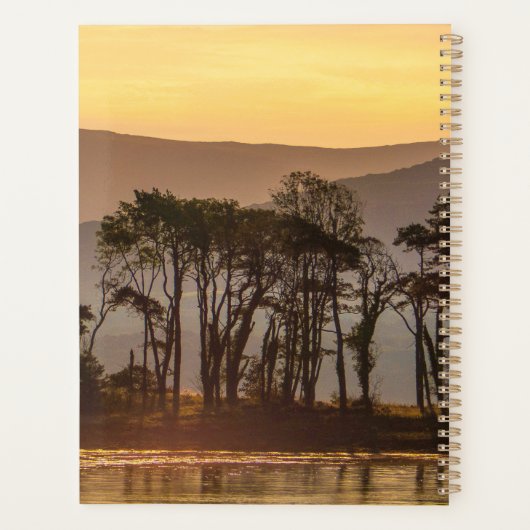 Gouden Uur Bomen Reflectie Planner | Natuur Kunst (Achterkant)