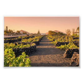 Gouden uur boven La Geria-wijngaarden Lanzarote Foto Afdruk