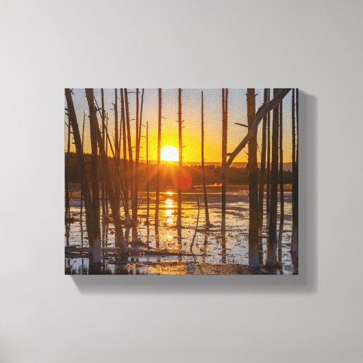 Gouden uur in Yellowstone Canvas Afdruk (Voorkant)