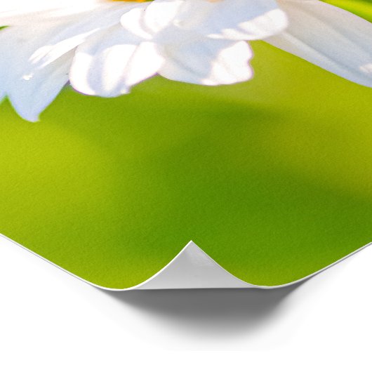 Gouden uur pauze poster (Hoek)