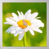 Gouden uur pauze poster (Voorkant)