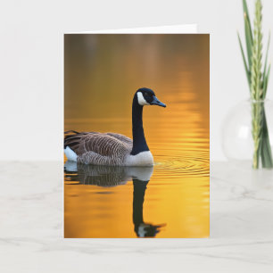 Gouden Vaderdag Vogel Kaart