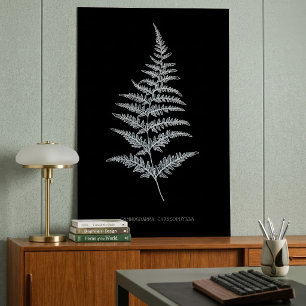 Gouden Varenspoor, Gymnogramma Chrysophylla Poster