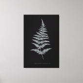 Gouden Varentak, Gymnogramma Chrysophylla Canvas Afdruk (Voorkant)