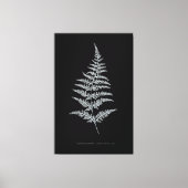 Gouden Varentak, Gymnogramma Chrysophylla Canvas Afdruk (Voorkant)