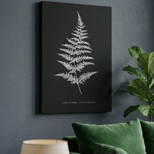 Gouden Varentak, Gymnogramma Chrysophylla Canvas Afdruk