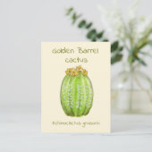 Gouden Vat Cactus ansichtkaart Briefkaart (Staand voorkant)