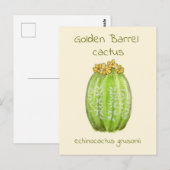Gouden Vat Cactus ansichtkaart Briefkaart (Voorkant / Achterkant)