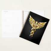 Gouden veelhoekig symbool Caduceus Planner (Display)