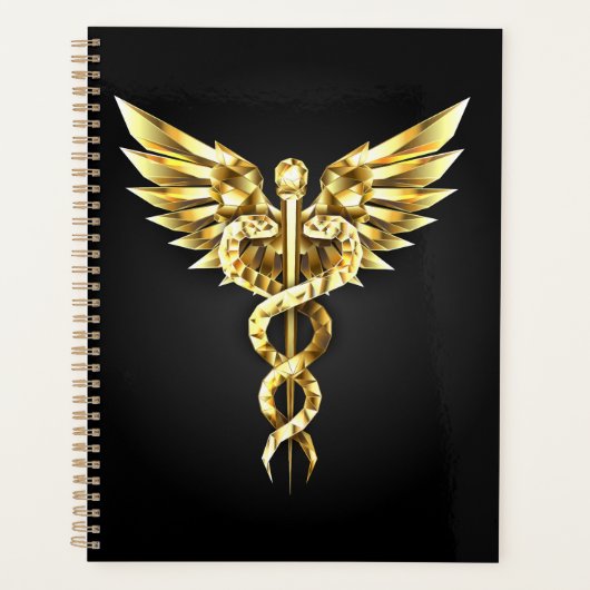 Gouden veelhoekig symbool Caduceus Planner (Voorkant)