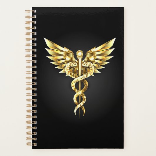 Gouden veelhoekig symbool Caduceus Planner (Voorkant)