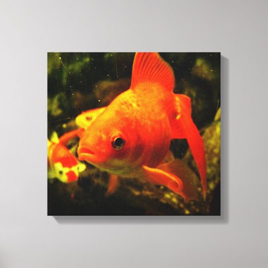 Gouden vis canvas afdruk (Voorkant)