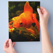 Gouden vis flyer (Hand)