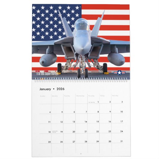 GOUDEN VLEUGELS - US Naval Aviation Kalender (Jan 2026)