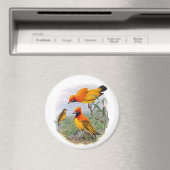 gouden vogel van het paradijs magneet (Insitu (Vaatwasser))