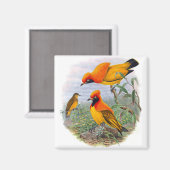 gouden vogel van het paradijs - Magnet (Voorkant / Achterkant)