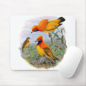 gouden vogel van het paradijs - Mousepad Muismat (Met muis)