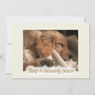 Gouden Vreedzame Puppy Plat Kerstkaart