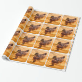 Gouden Water Wilde Eend Foto Cadeaupapier (Uitgerold)