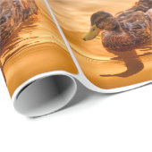 Gouden Water Wilde Eend Foto Cadeaupapier (Rol Hoek)