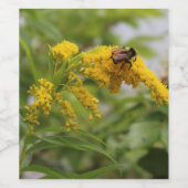 Gouden Wijn Etiket (Enkel label)