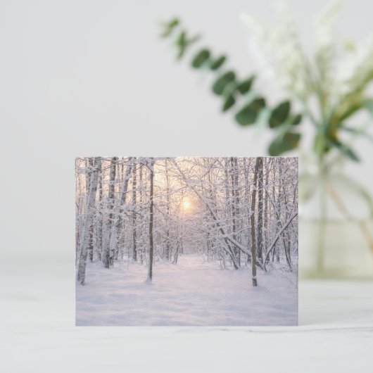 Gouden_winterlicht Briefkaart (Staand voorkant)