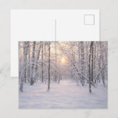 Gouden_winterlicht Briefkaart (Voorkant / Achterkant)
