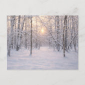Gouden_winterlicht Briefkaart (Voorkant)
