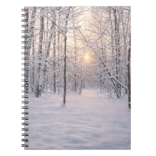 Gouden_winterlicht Notitieboek (Voorkant)