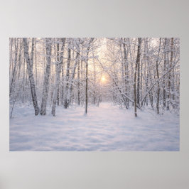 Gouden_winterlicht Poster