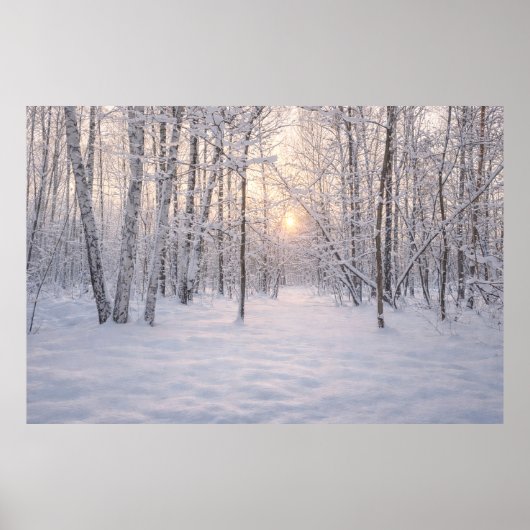 Gouden_winterlicht Poster (Voorkant)