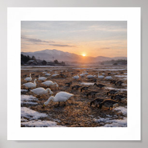Gouden Winterveld met Zwanen en Ganzen – Poster