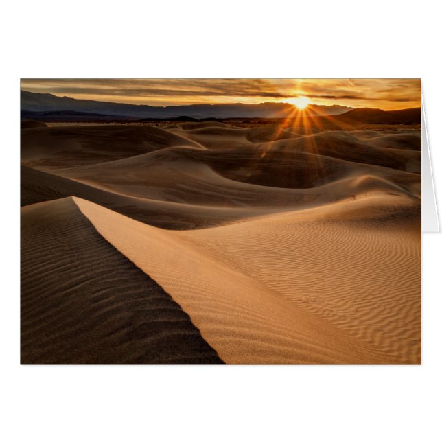 Gouden zandduinen, Death Valley, CA (Voorkant Horizontaal)