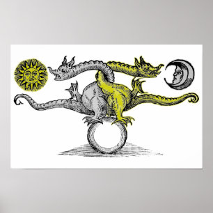 Gouden & Zilveren Draken Poster