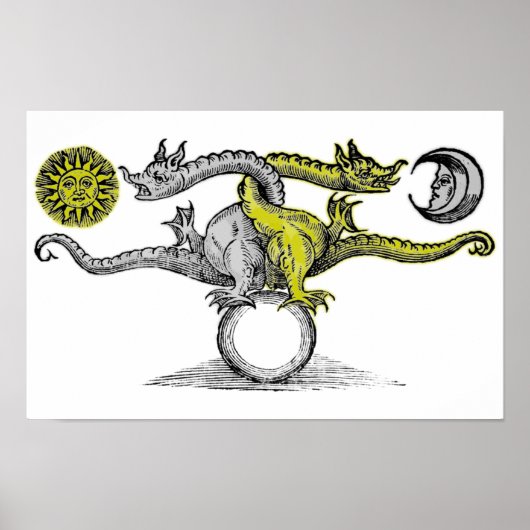 Gouden & Zilveren Draken Poster (Voorkant)