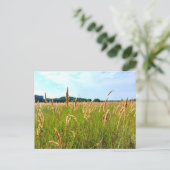 Gouden Zomer Veld Briefkaart (Staand voorkant)