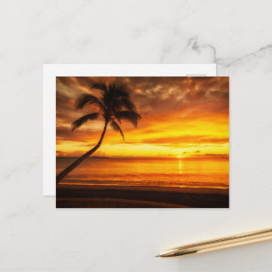 Gouden Zomer Zonsopgang Horizon Schitterende Ansic Briefkaart