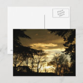gouden zon briefkaart (Voorkant / Achterkant)
